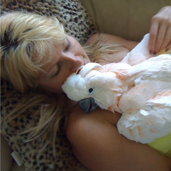 This is my Abigail, Lexi and Crikit - Picture 2 of 13